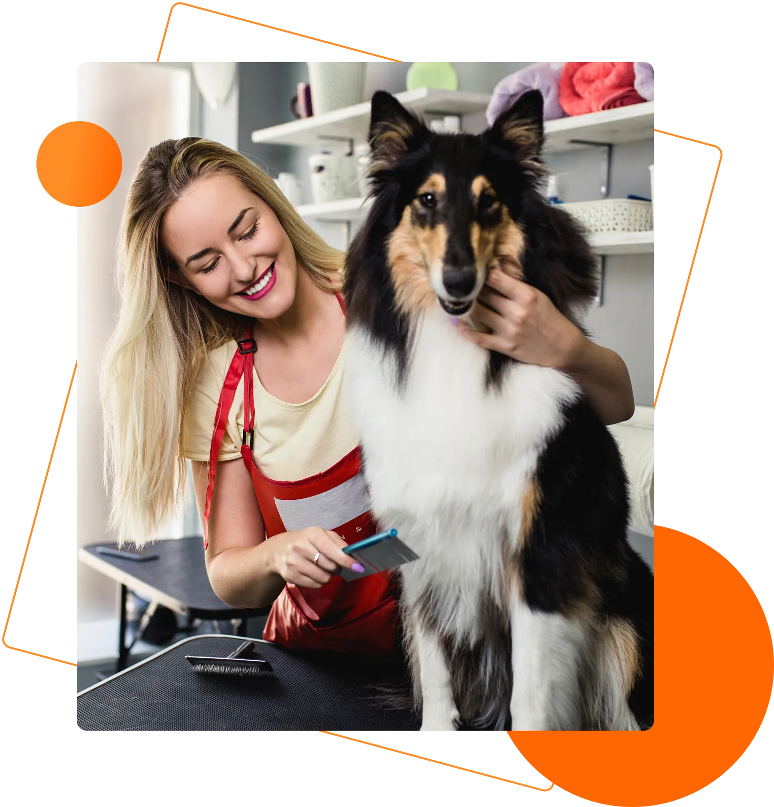Poochies groomer working one-on-one with a dog in Preston Hollow
